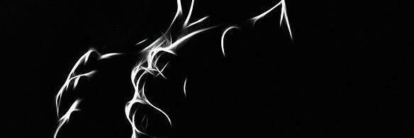 KingQuaye11's profile banner image