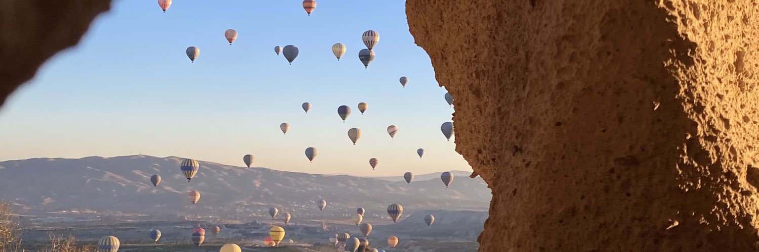 ayysedibee's profile banner image