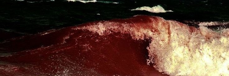 hhdontell's profile banner image