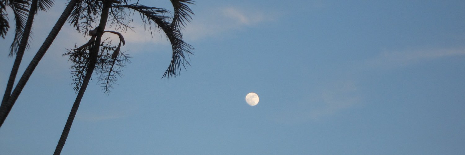 reenrodrigueez's profile banner image