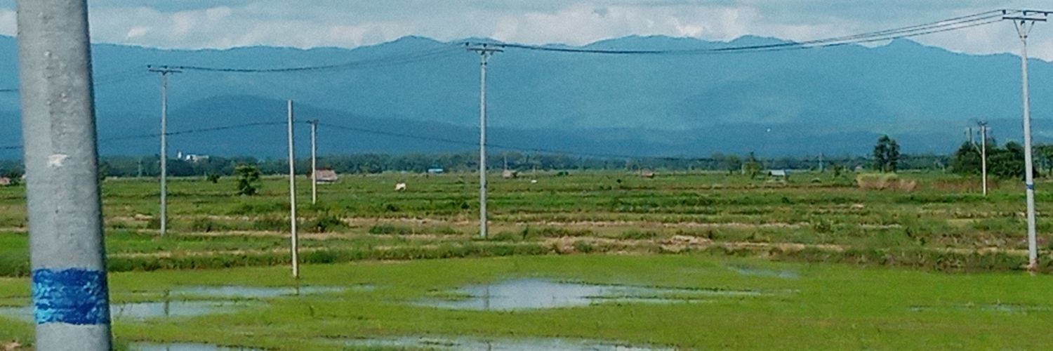 Nga Htut banner