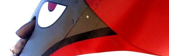 free drone banner