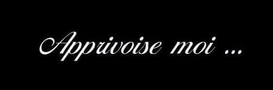 Cécilia Amar • Montréal banner