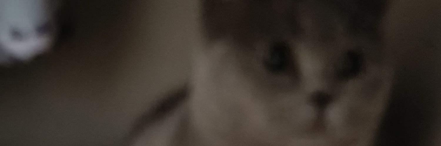 dust_kun's profile banner image
