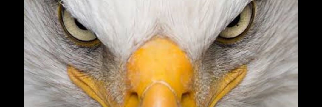 lordrotex's profile banner image