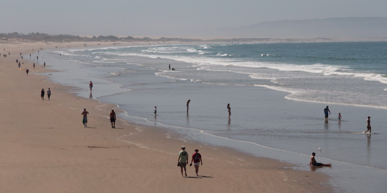 Isabelle Fuoc banner