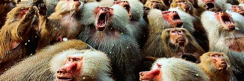 Putned🏴‍☠️🇫🇮🫶🇺🇦🇮🇱🇬🇪🇬🇱🇨🇦 banner