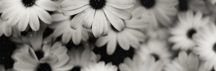 Danny Bernstrom banner