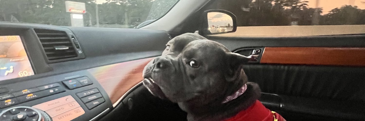 omgitssabean's profile banner image