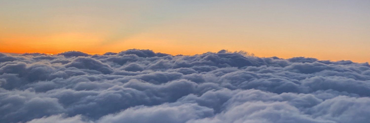 Priscila Azevedo Rocha banner