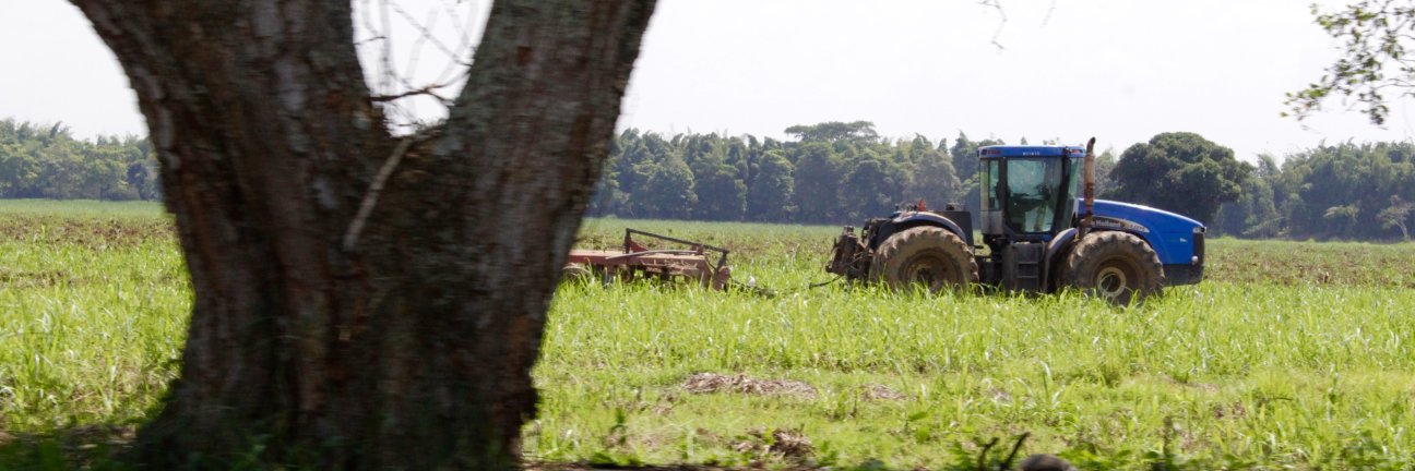 vanessacertuche's profile banner image