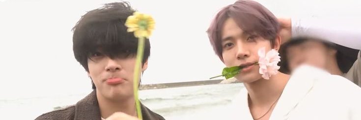 Nowhere little | VAI VER O ENHYPEN banner