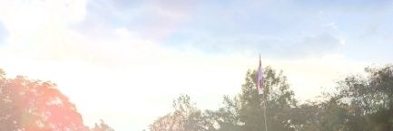 vina banner