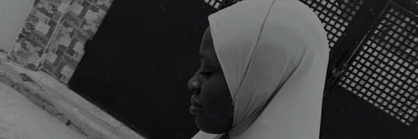 Ferarigee Profile Banner