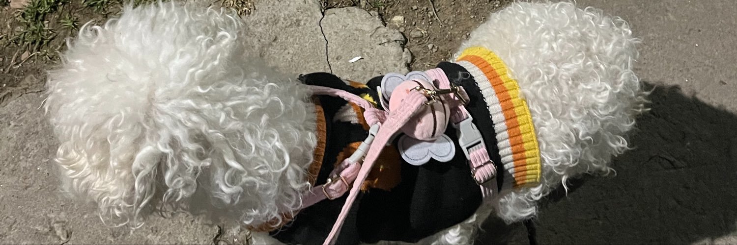 CUSPACECOWGIRL1's profile banner image