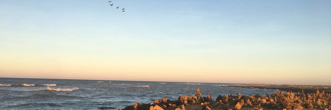 mattybellis's profile banner image