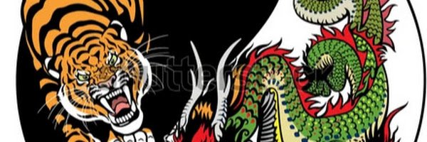 Dragon61451874's profile banner image