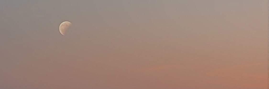 𓇻 banner