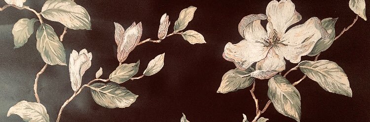 White Squirrel Records banner