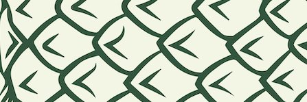 Pineapple Street Union's banner