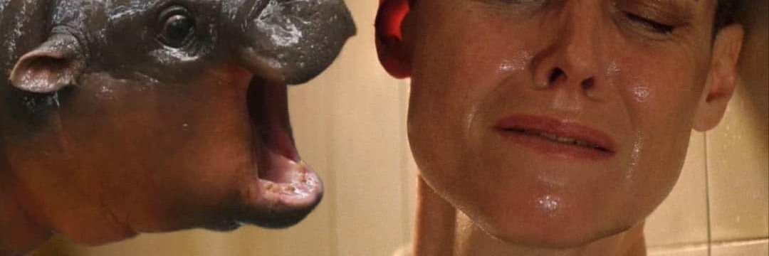 DrunkArbiter's profile banner image