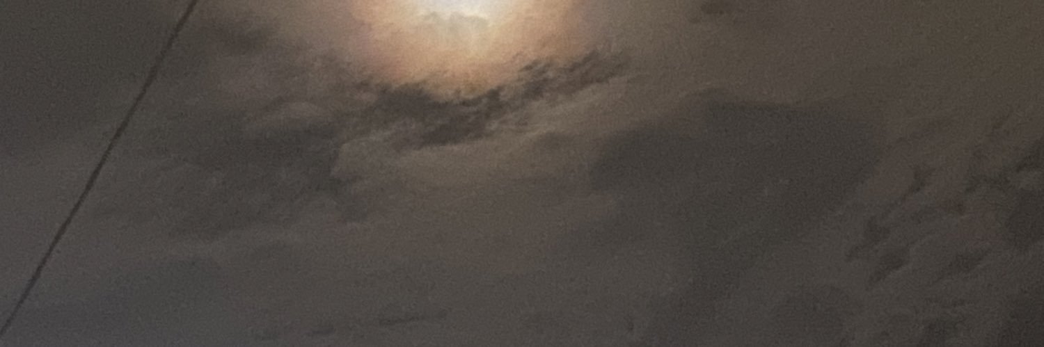honeyyyyyy___'s profile banner image
