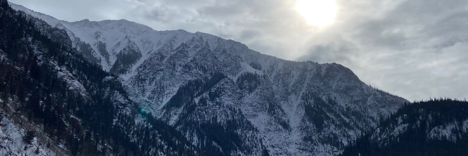 Cinis Infernus banner