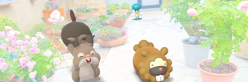 runa*🦫ྀི🐿ྀི banner