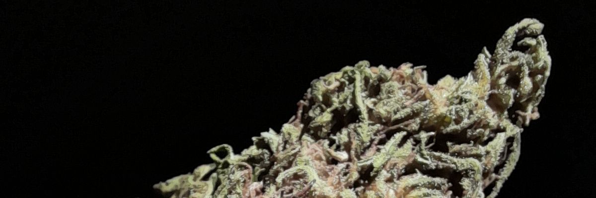 allanmurad's profile banner image