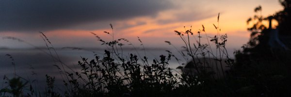 Stephanie Chambers Profile Banner