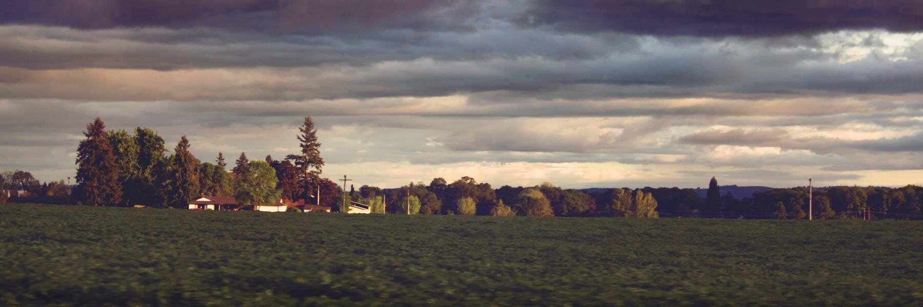 jynmeyer's profile banner image