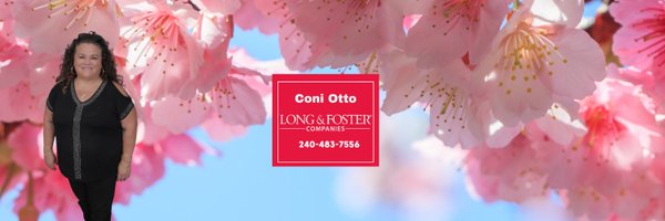 coniotto Profile Banner