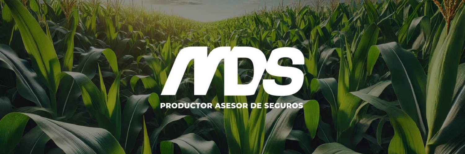 martindangelo's profile banner image