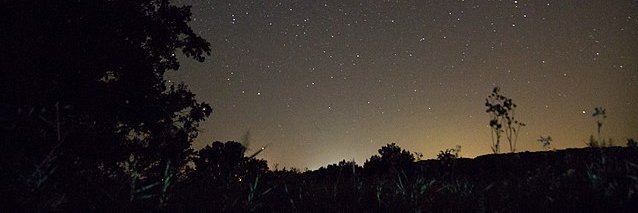 VeraciousVerve banner