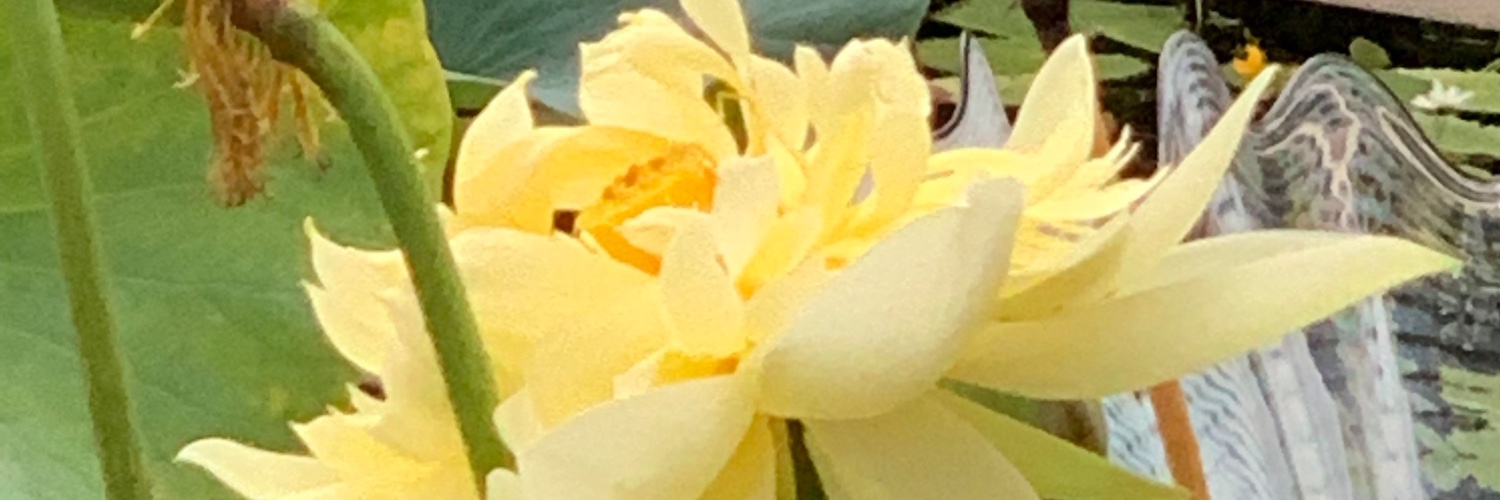 haemincho's profile banner image