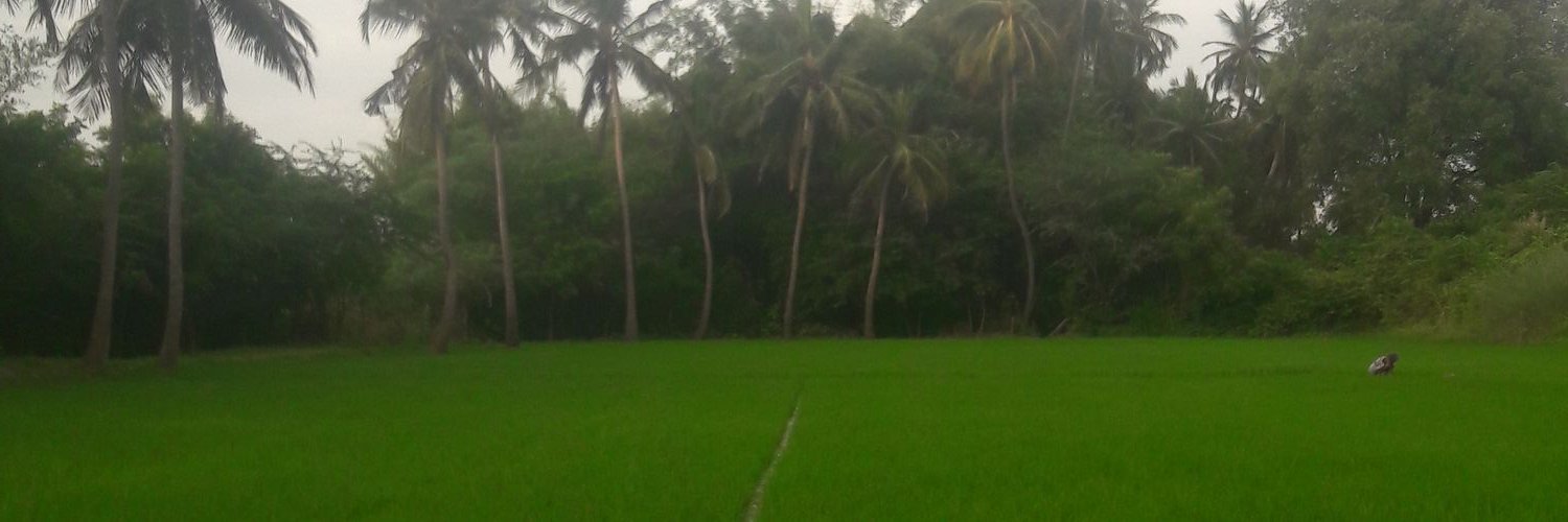 sharanjothi's profile banner image