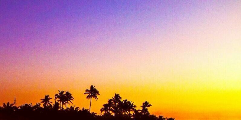 lu_lopez13's profile banner image