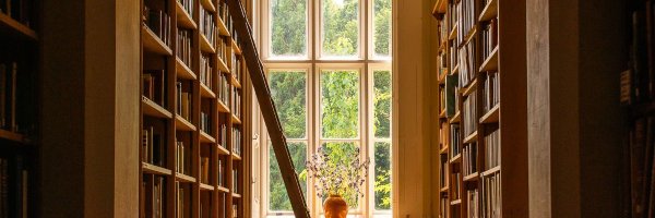 JosepAntoniClua Profile Banner