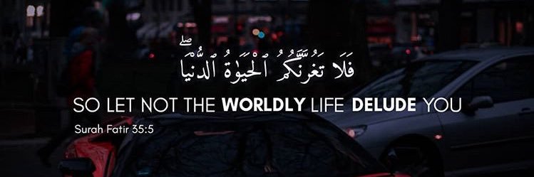 shamil_22's profile banner image