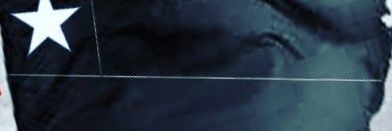 Fedaykin Chilensis ~Sin Presidente~🇨🇱⚔ banner