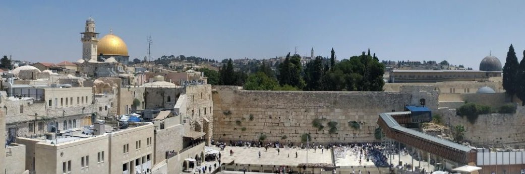 Elisabeth Ⓥ ✡︎ חי ☮ banner