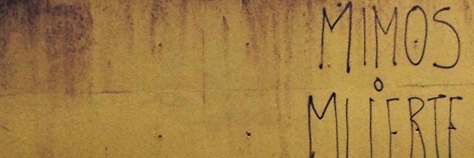 Lucía Burtnik banner