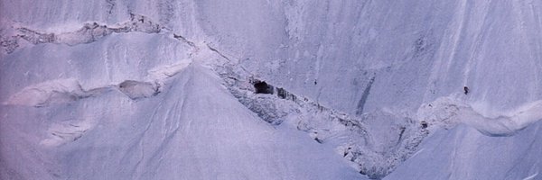 cynomaxxx Profile Banner