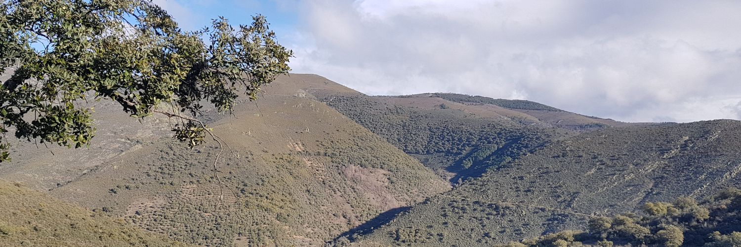 CaneteMartin's profile banner image