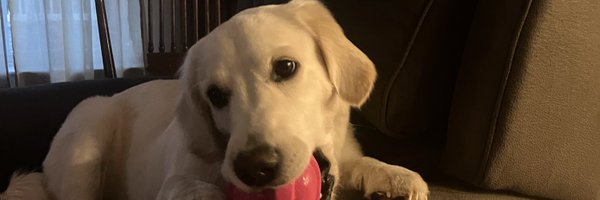 MasonOates35 Profile Banner