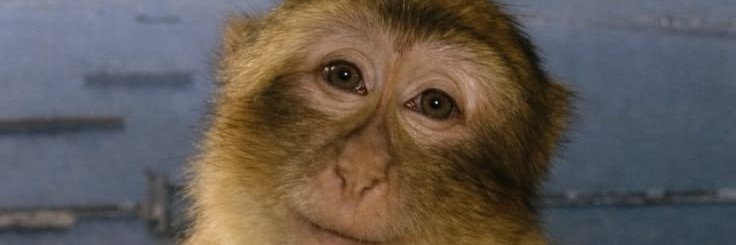 softtyi's profile banner image