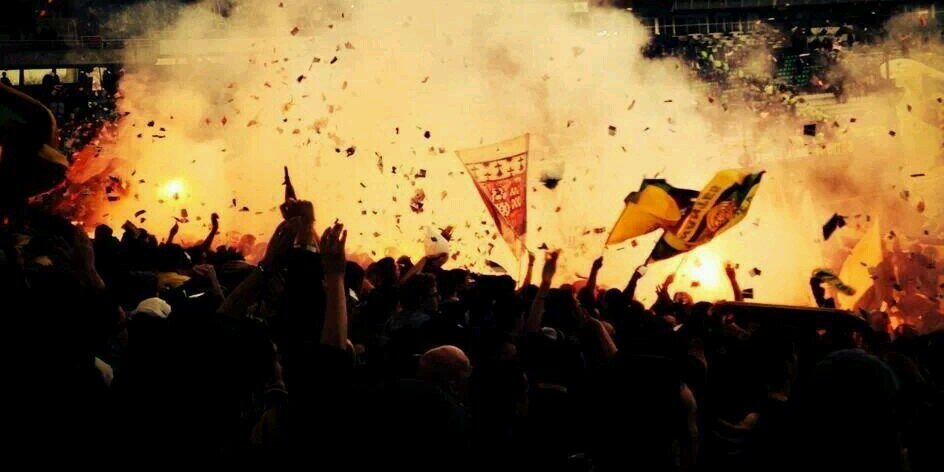 Cerdou's profile banner image