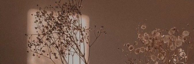 kaylanmackinnon's profile banner image