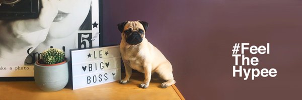 HypeeDigital Profile Banner