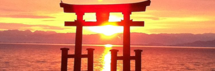 mumemo14's profile banner image